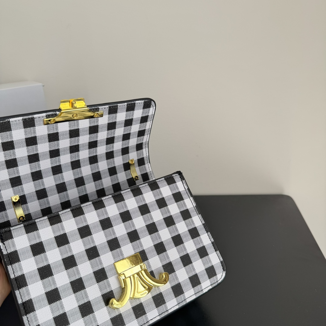 Celine bag-105