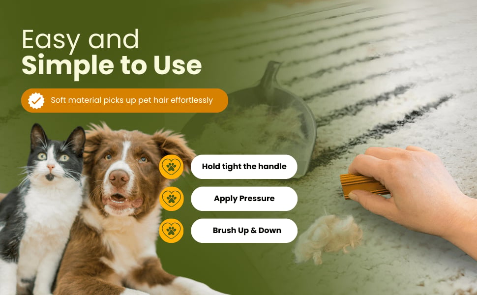 Easy Grip Pet Hair Carpet Scraper