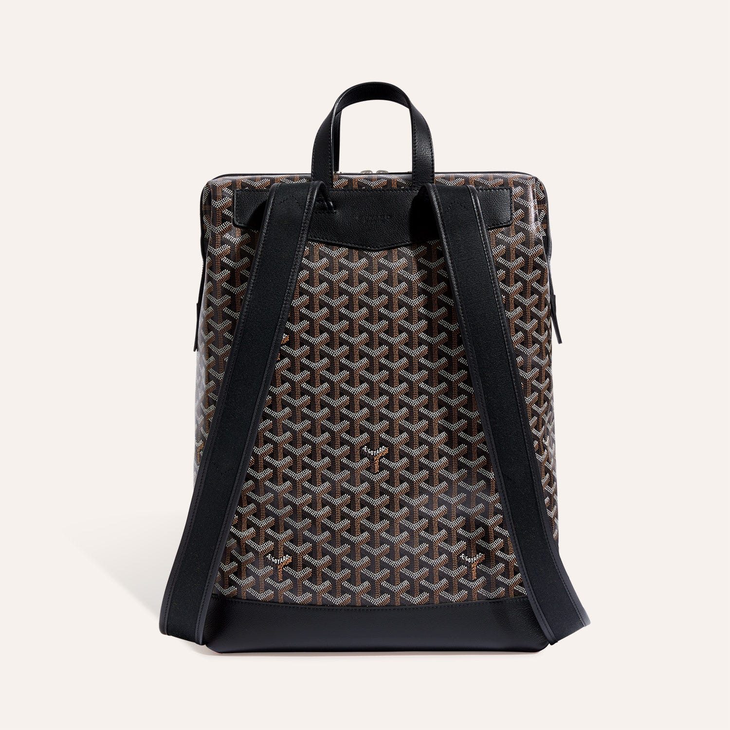 Cisalpin Backpack