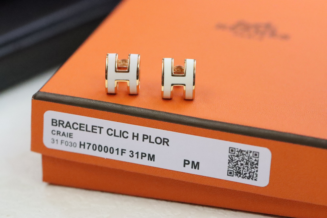 Hermes earrings-65
