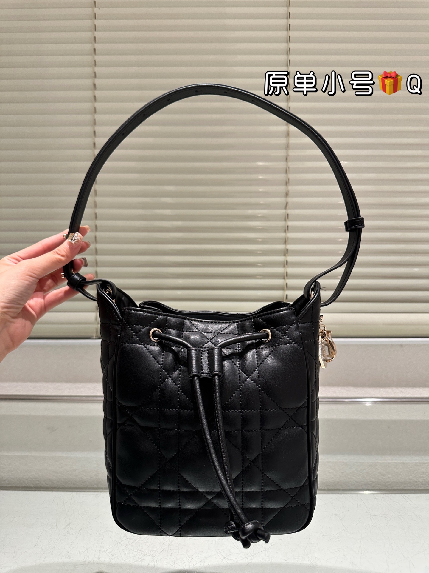 Dior bag-6