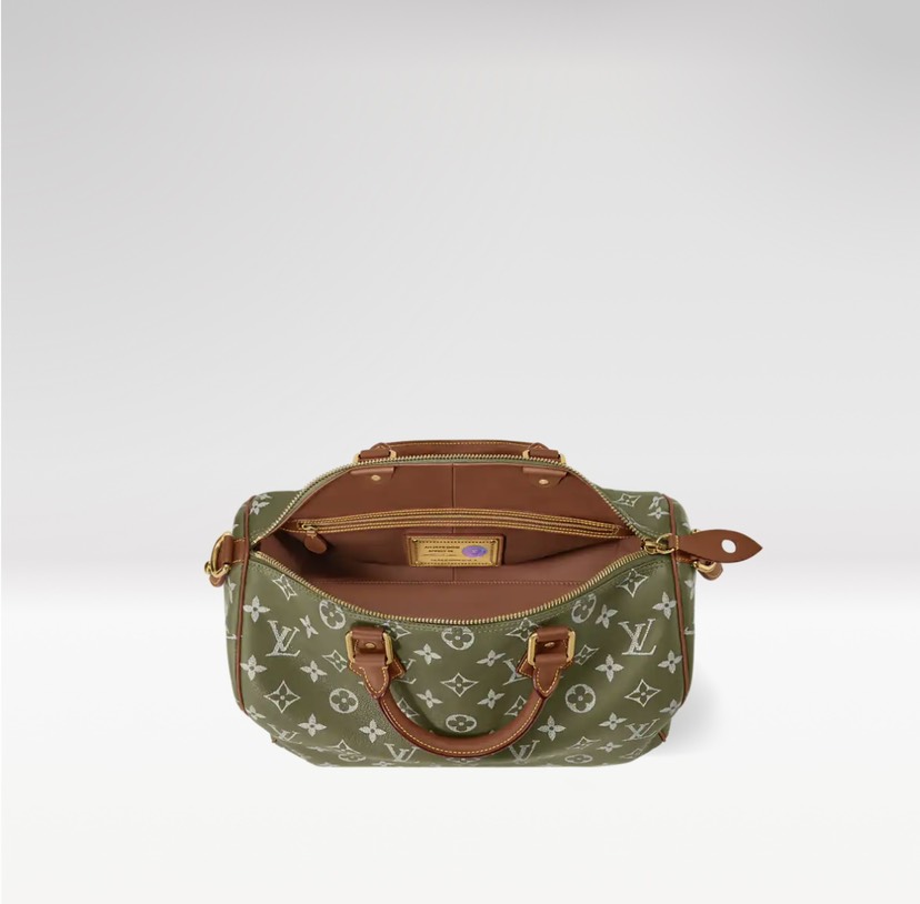 Louis Vuitton bag-32