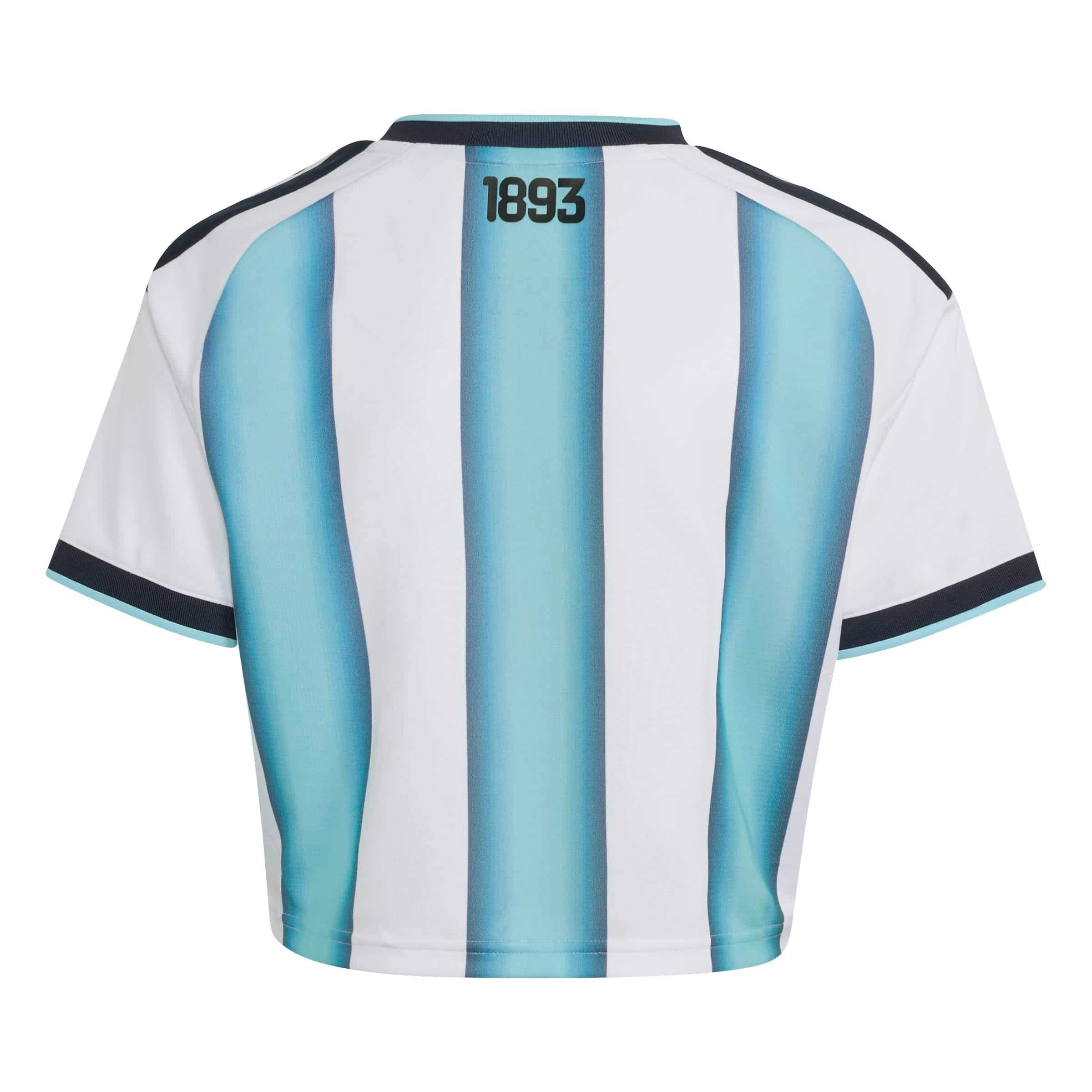 Argentina 26 Home Cropped Jersey Women