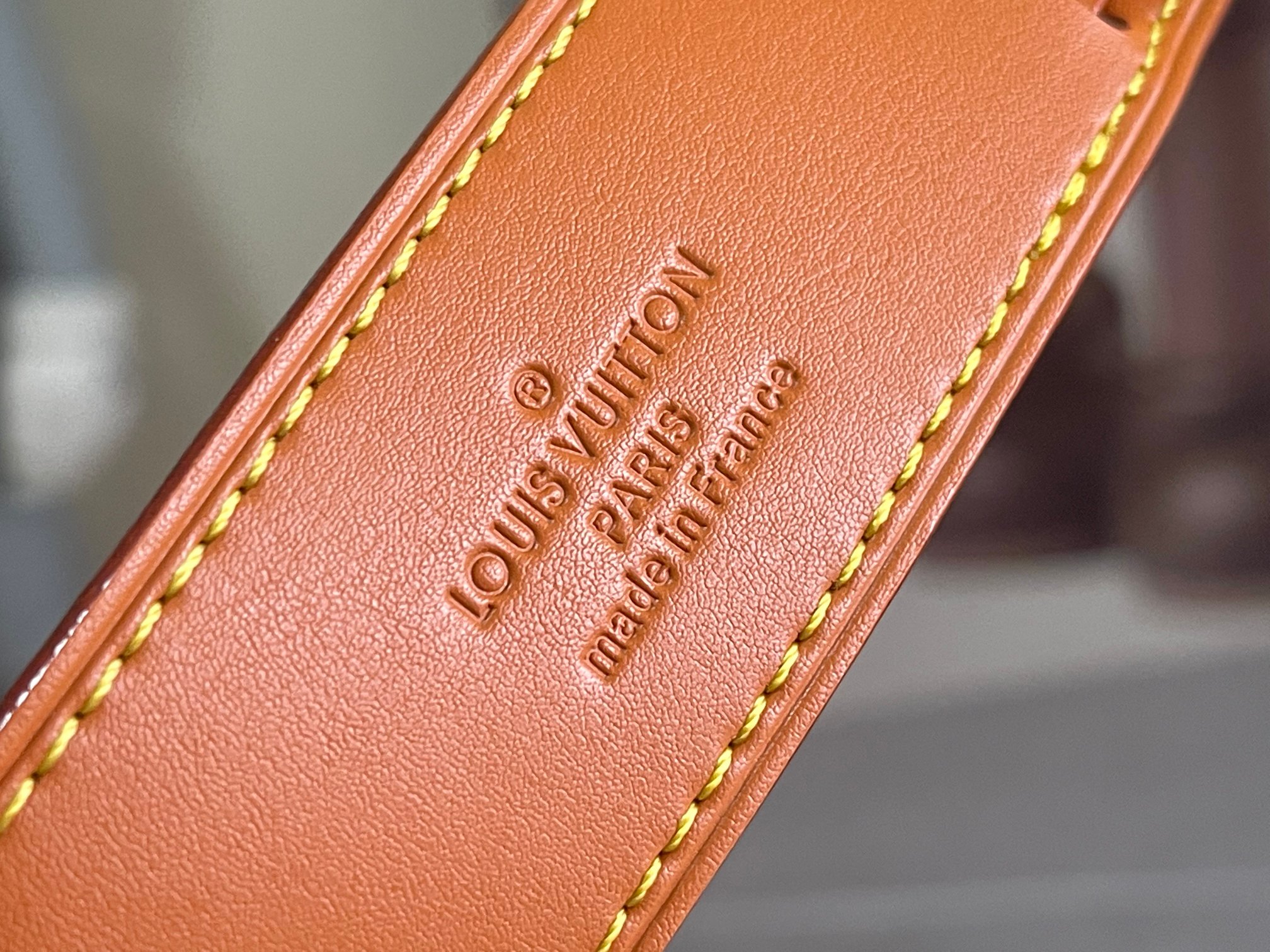 Louis Vuitton bag-106