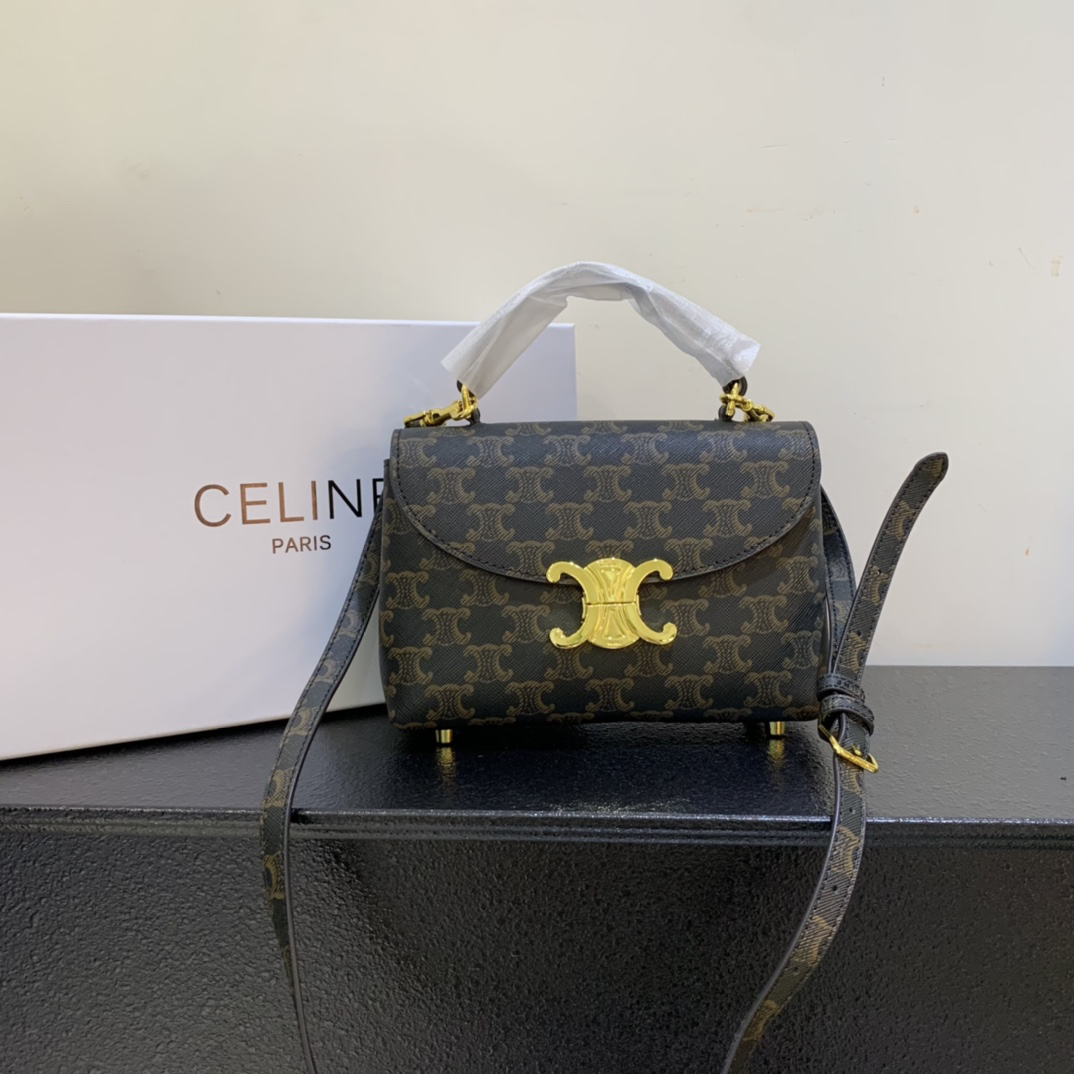 Celine bag-106