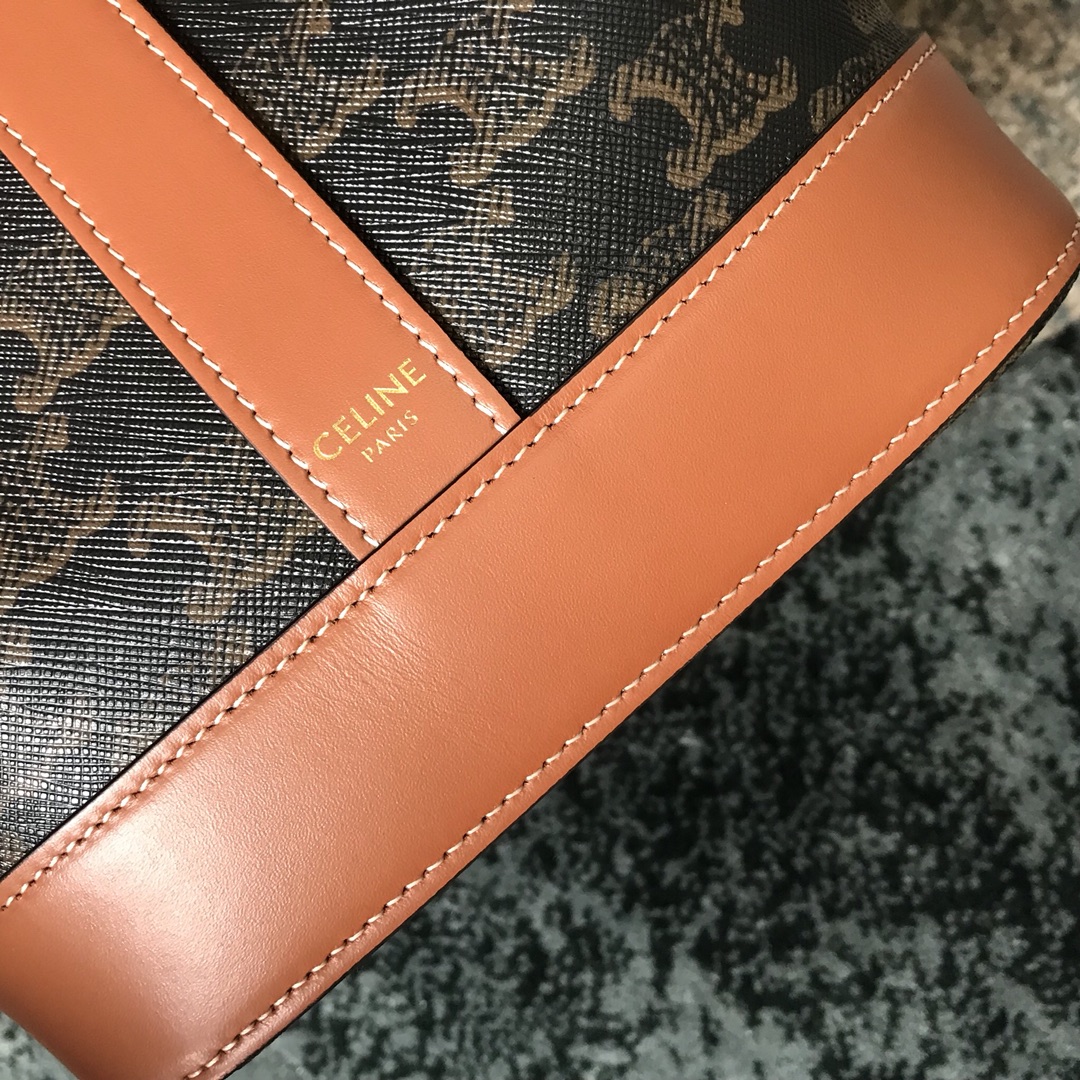 Celine bag-125