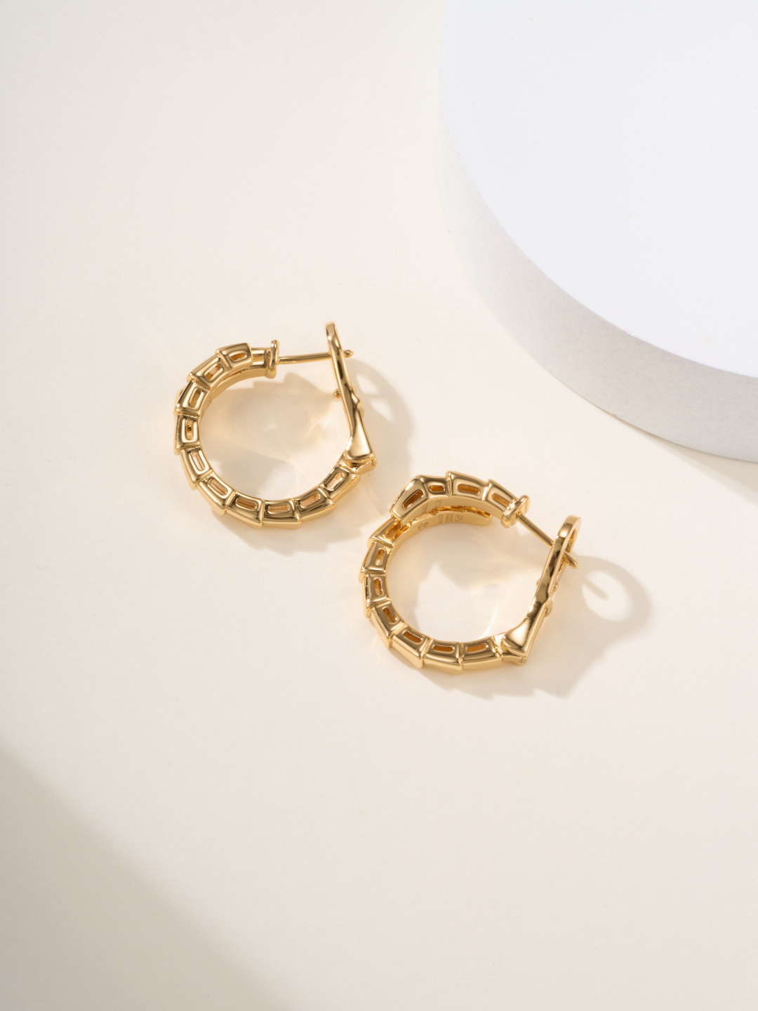 Bottega Veneta earrings-22
