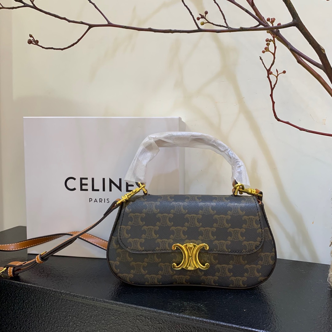 Celine bag-98