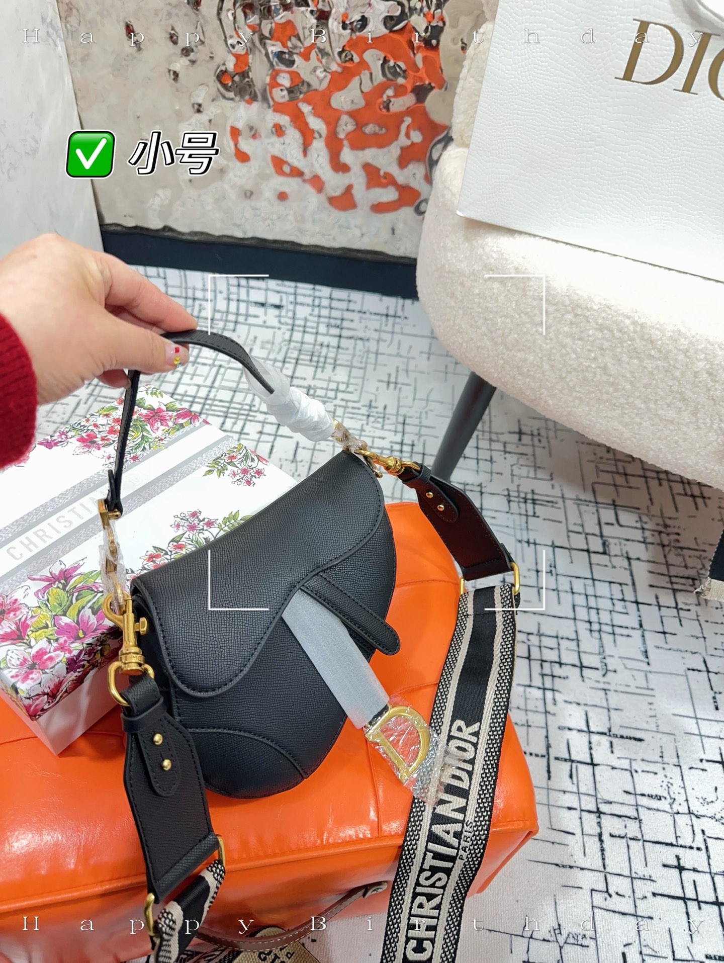 Dior bag-9