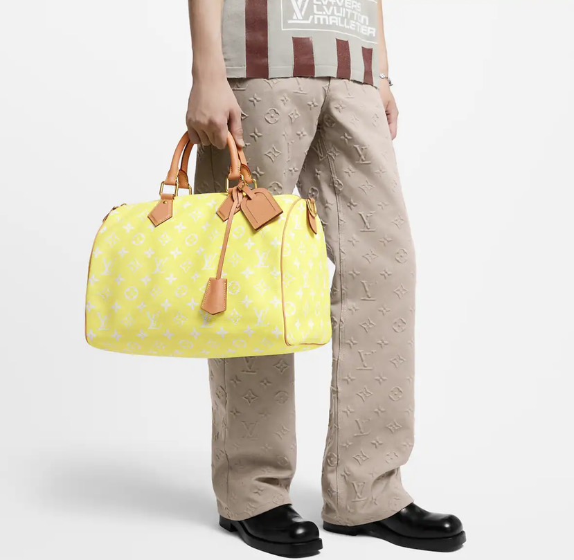 Louis Vuitton bag-6