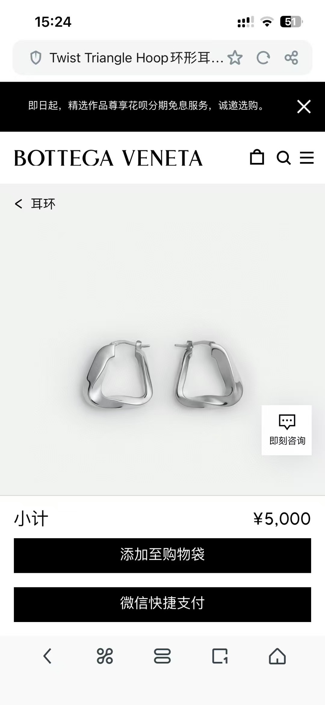 Bottega Veneta earrings-60