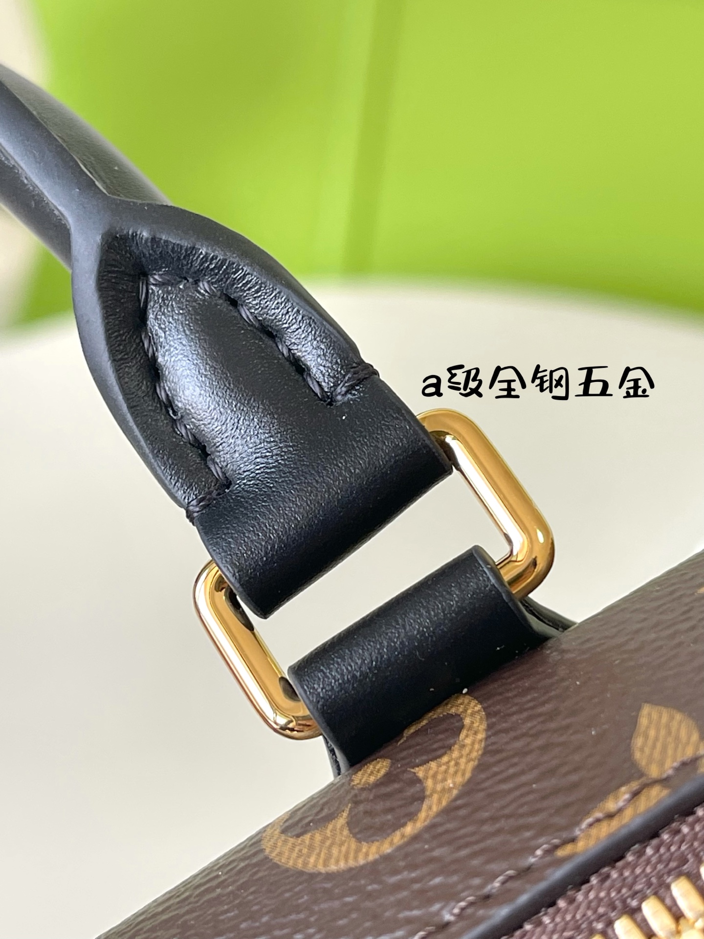 Louis Vuitton bag-1