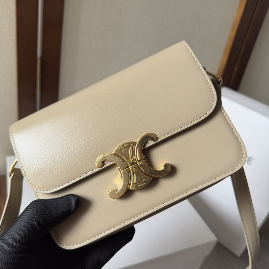 Celine bag-76
