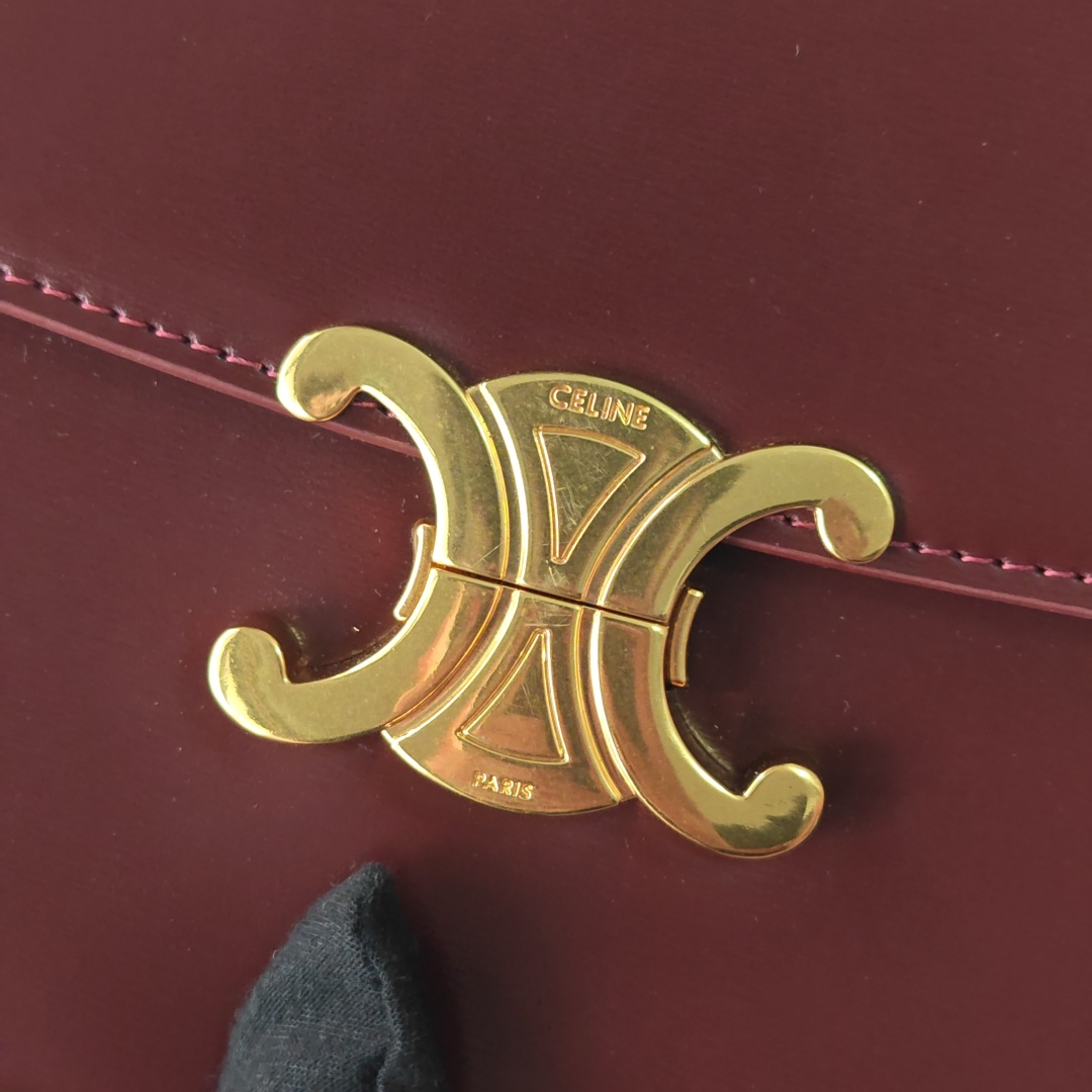 Celine bag-6