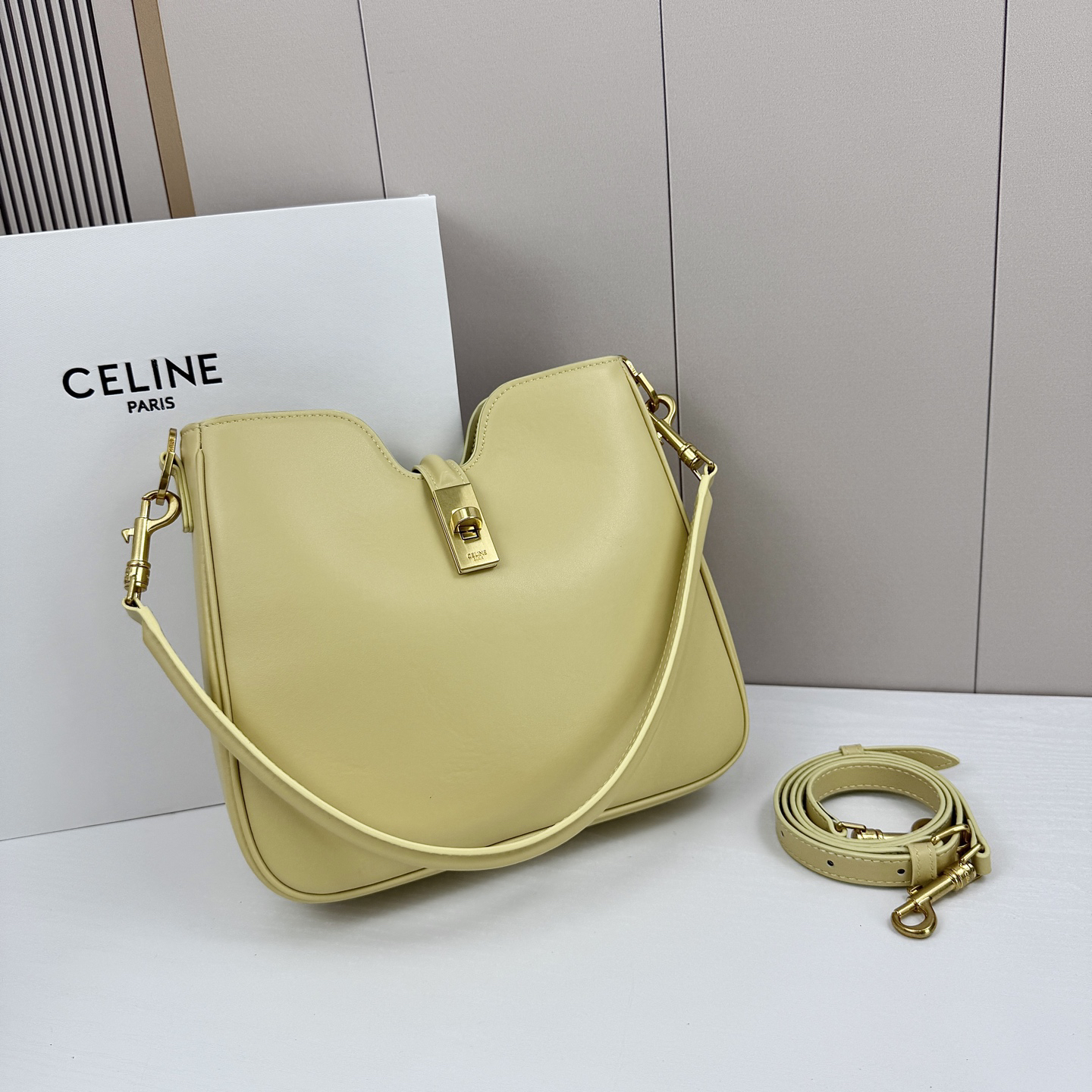 Celine bag-5