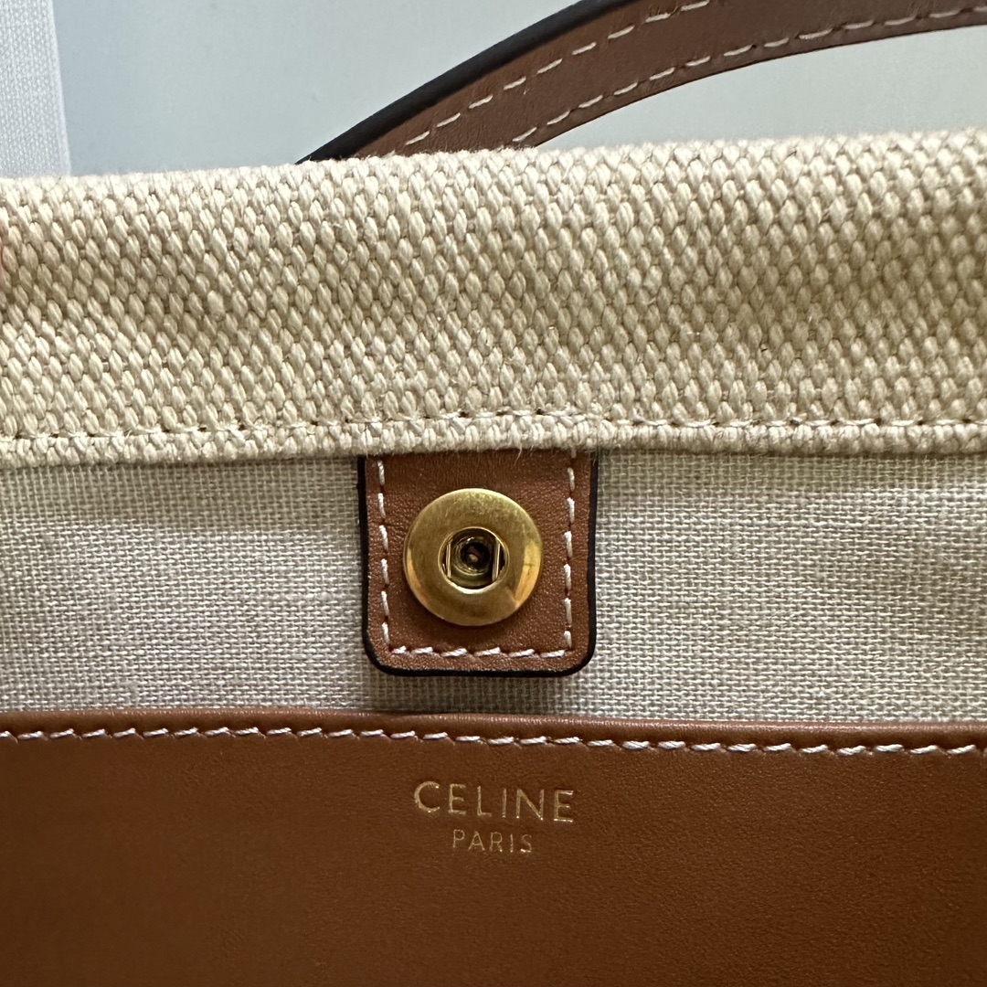 Celine bag-116