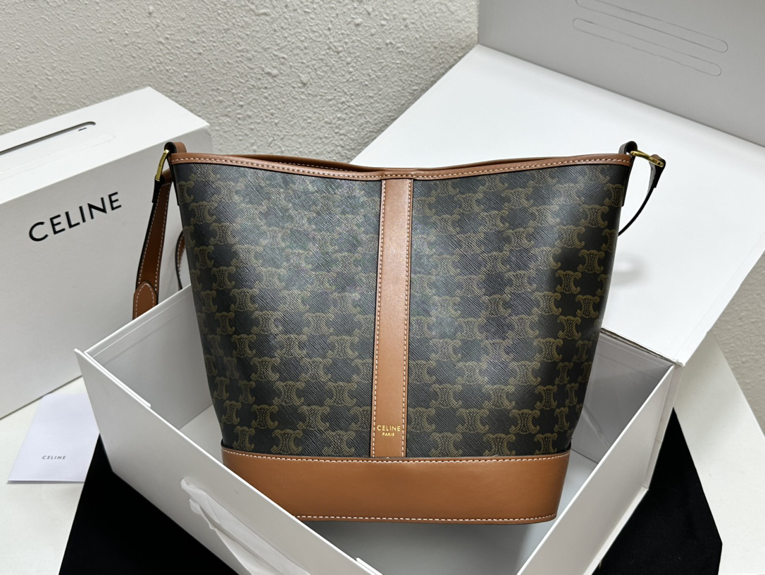 Celine bag-47