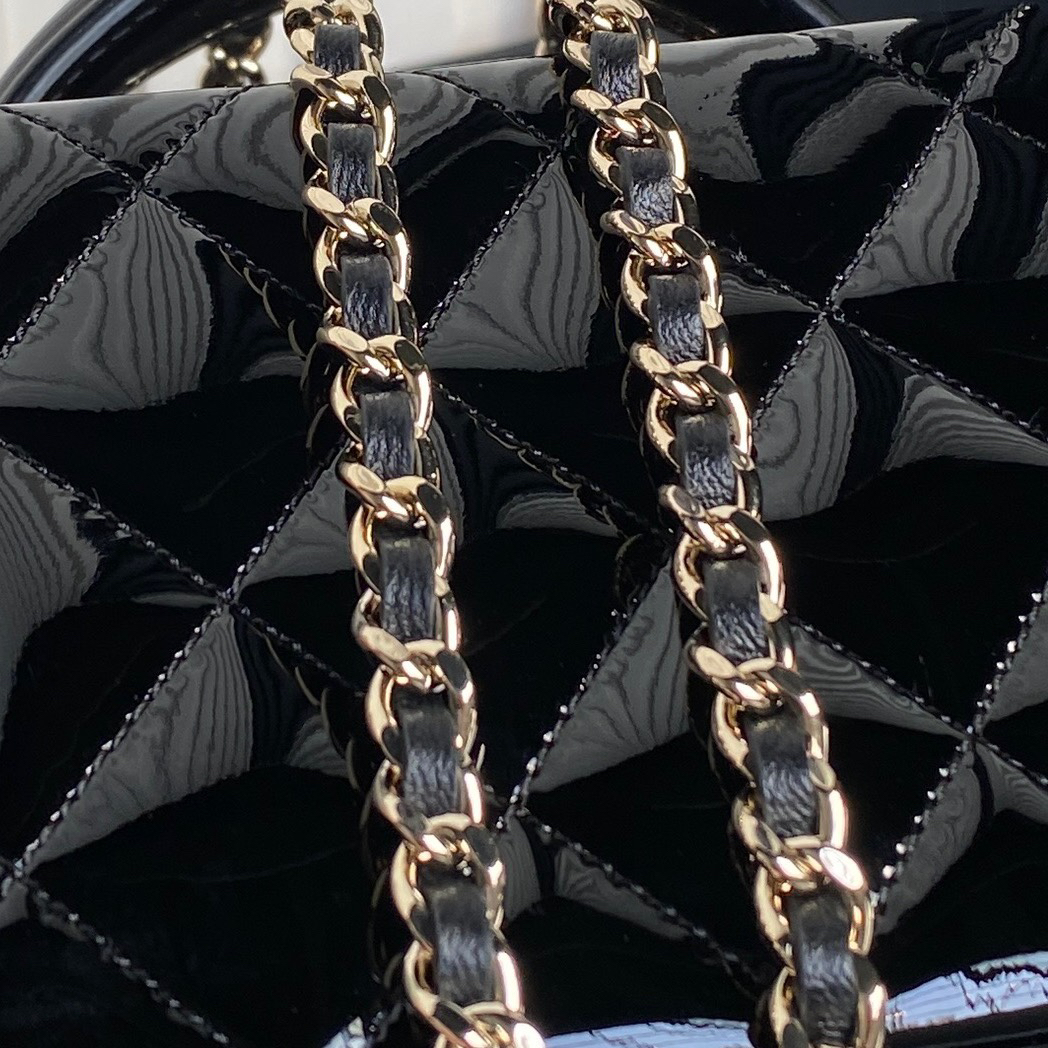 Chanel bag-101