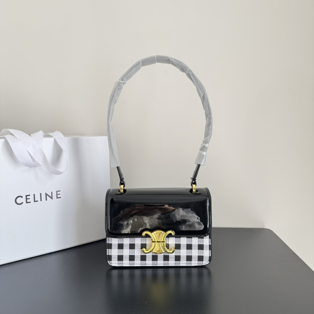 Celine bag-105