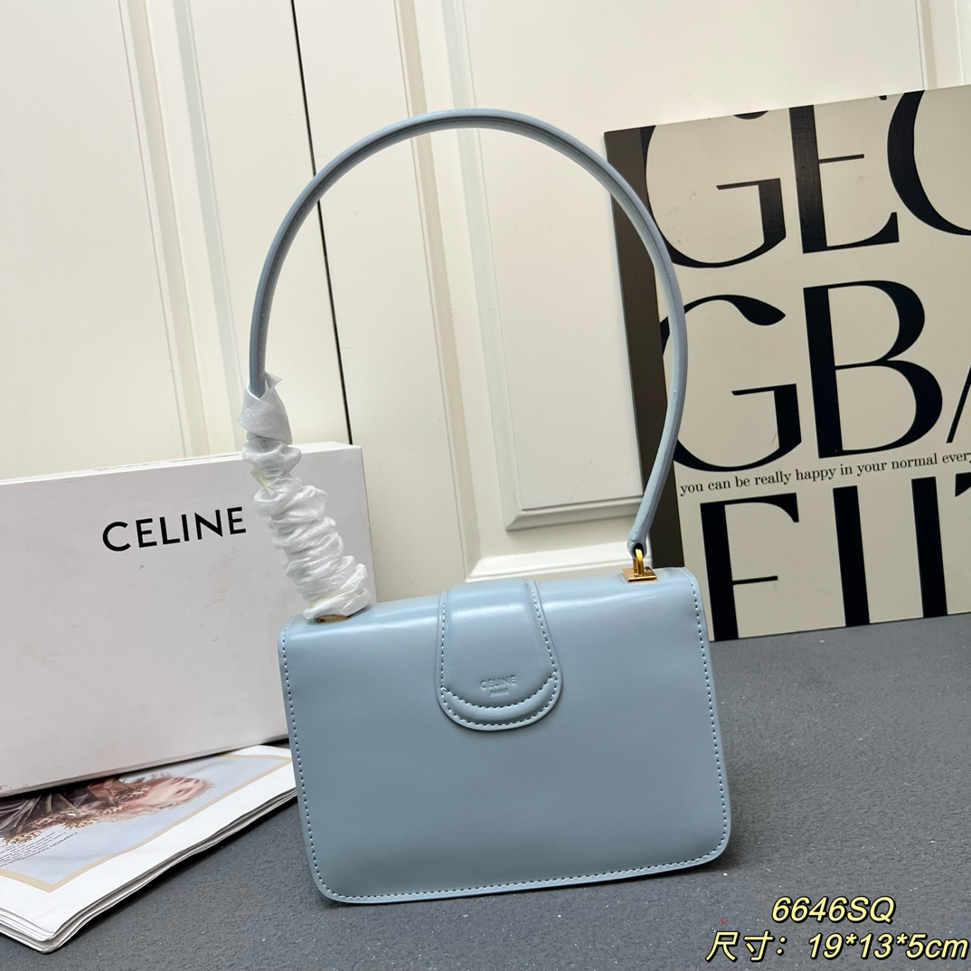 Celine bag-131