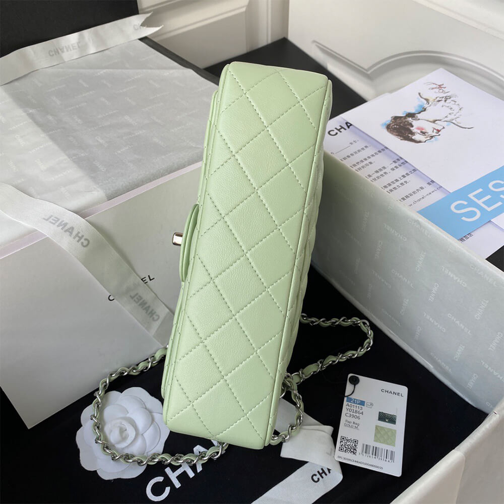 Chanel Classic Flap Medium SiLouis Vuittoner hardware