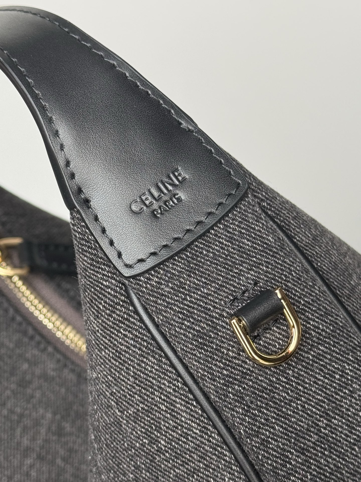 Celine bag-100