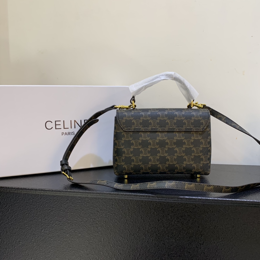 Celine bag-106