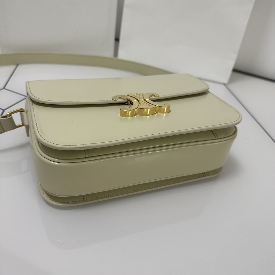 Celine bag-109