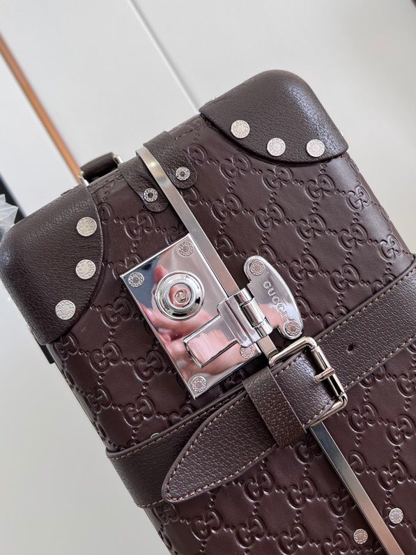 Gucci luggage-9