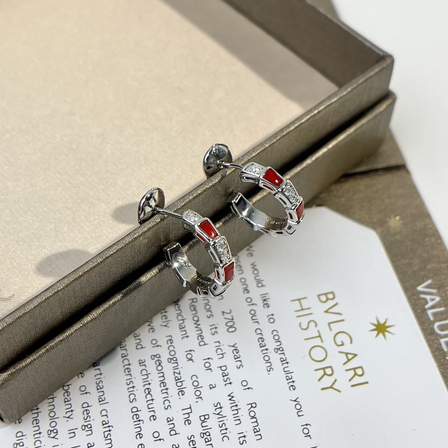 Bottega Veneta earrings-18