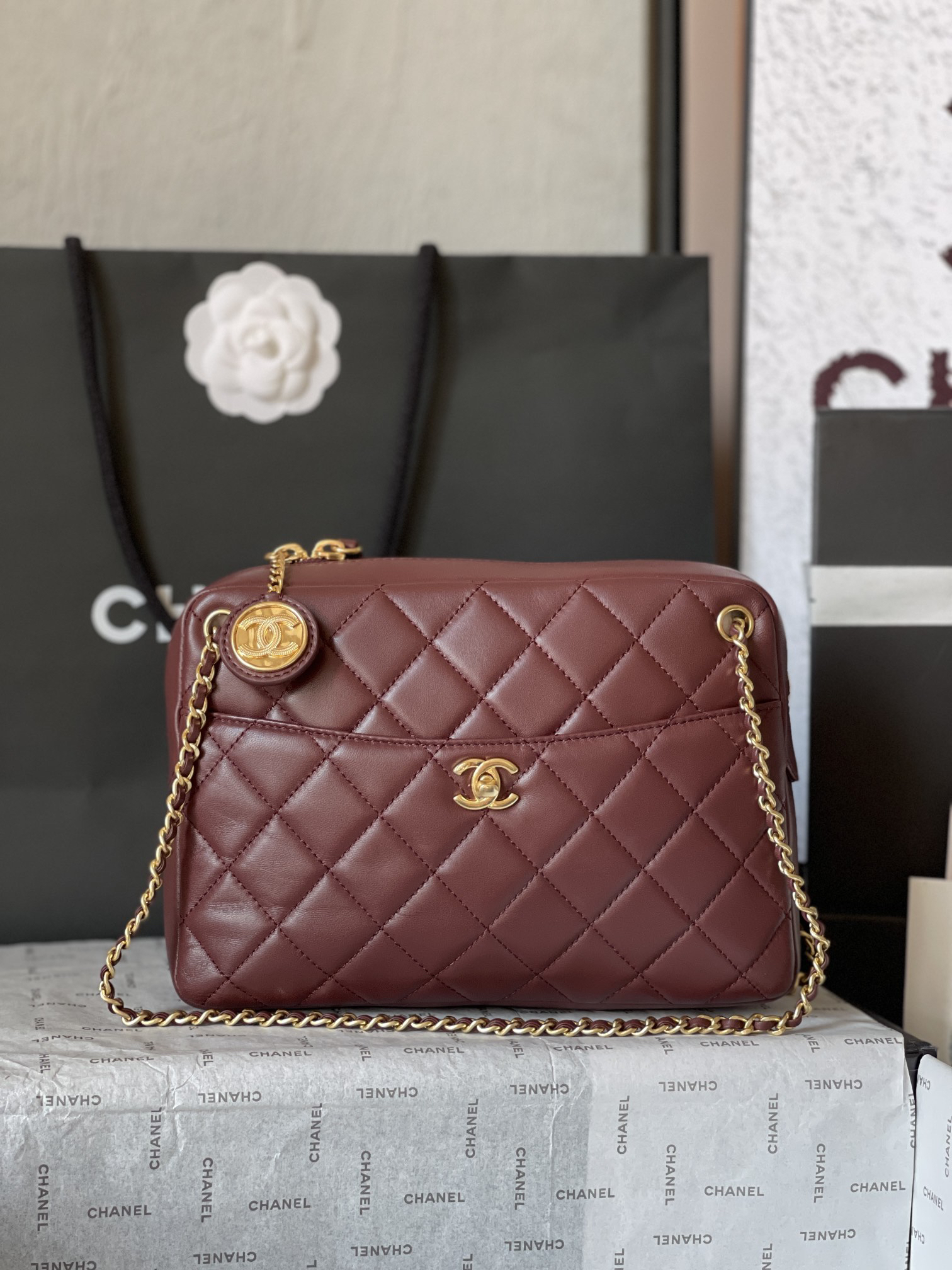 Chanel bag-166