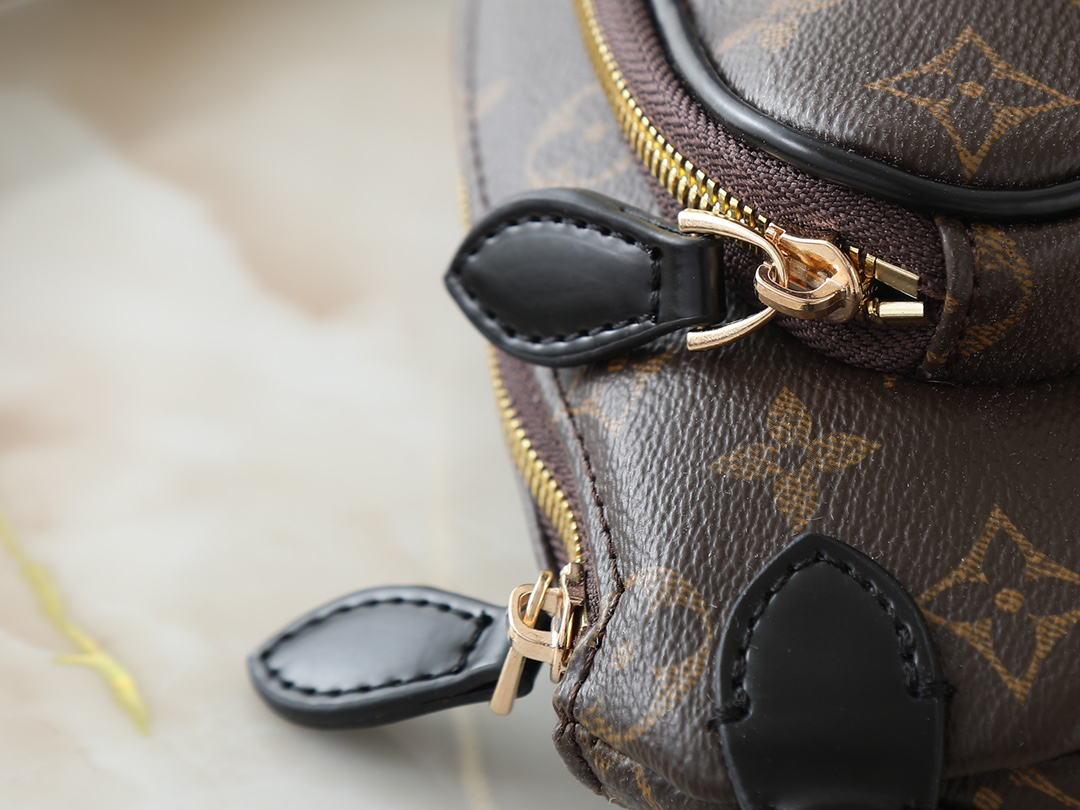 Louis Vuitton bag-186