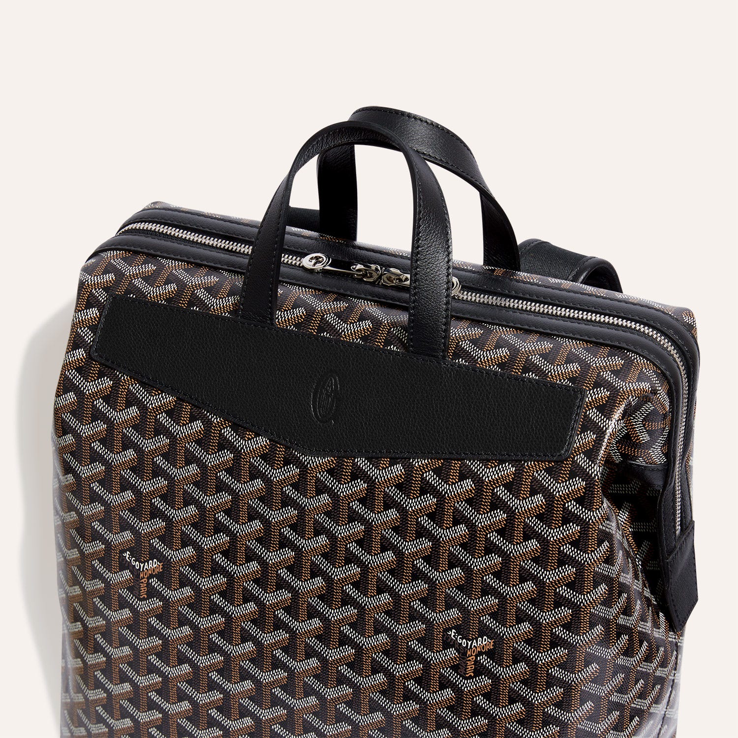 Cisalpin Backpack