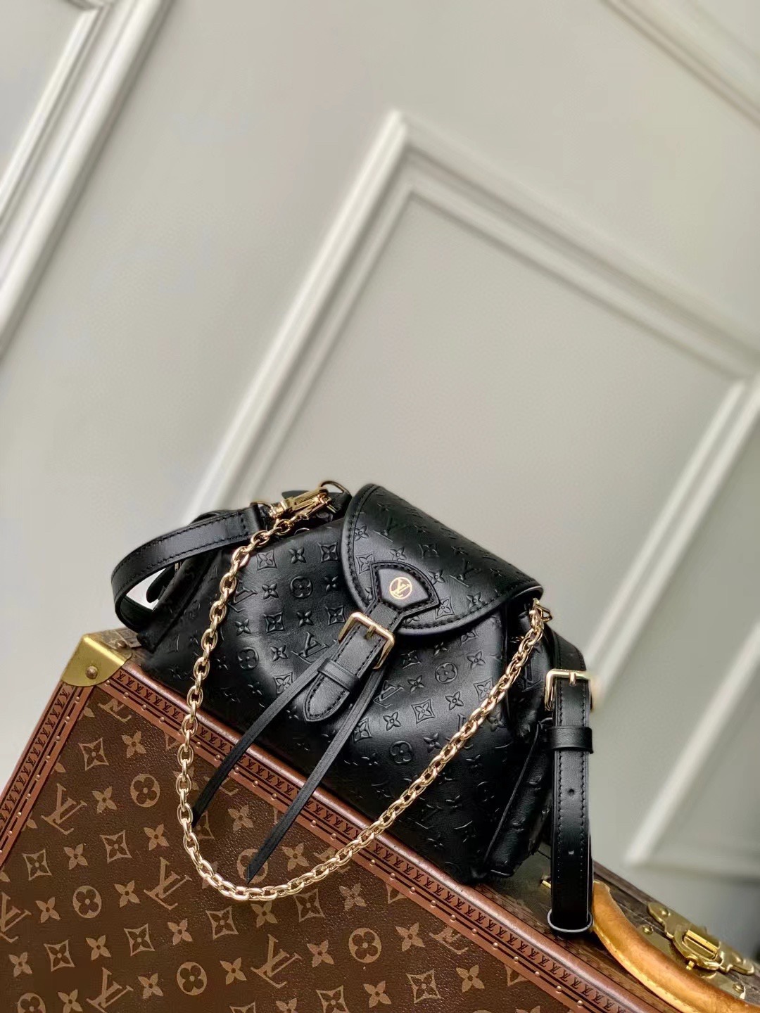 Louis Vuitton bag-55