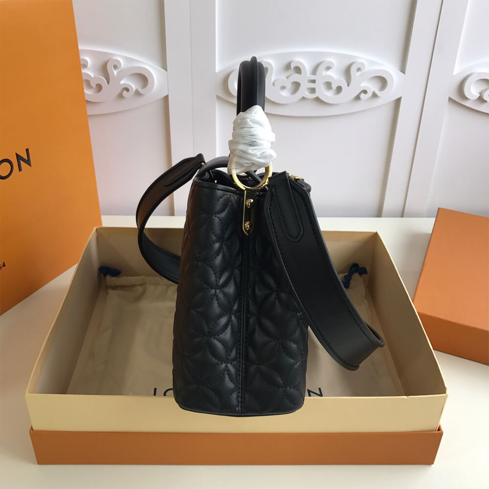 Louis Vuitton CAPUCINES MM BAG