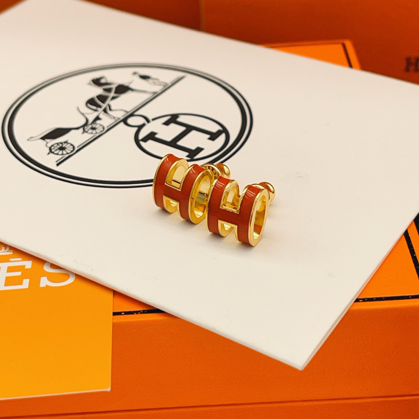 Hermes earrings-73