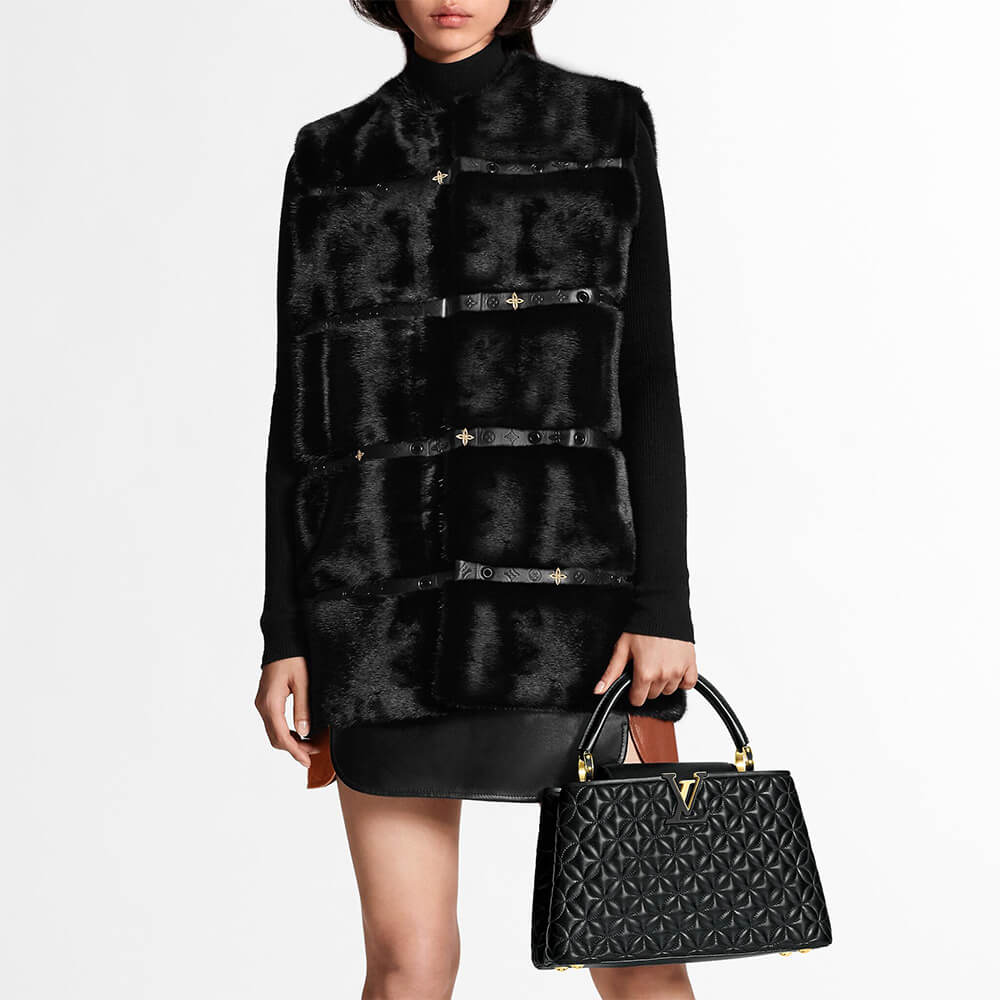 Louis Vuitton CAPUCINES MM BAG