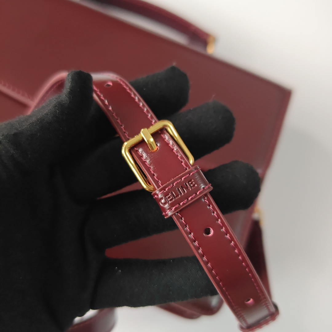 Celine bag-6