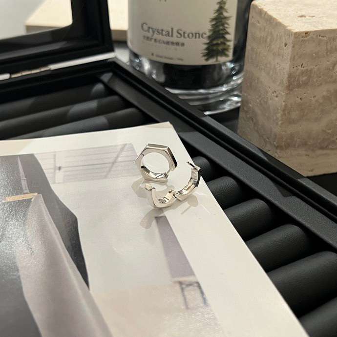 Gucci earrings-56