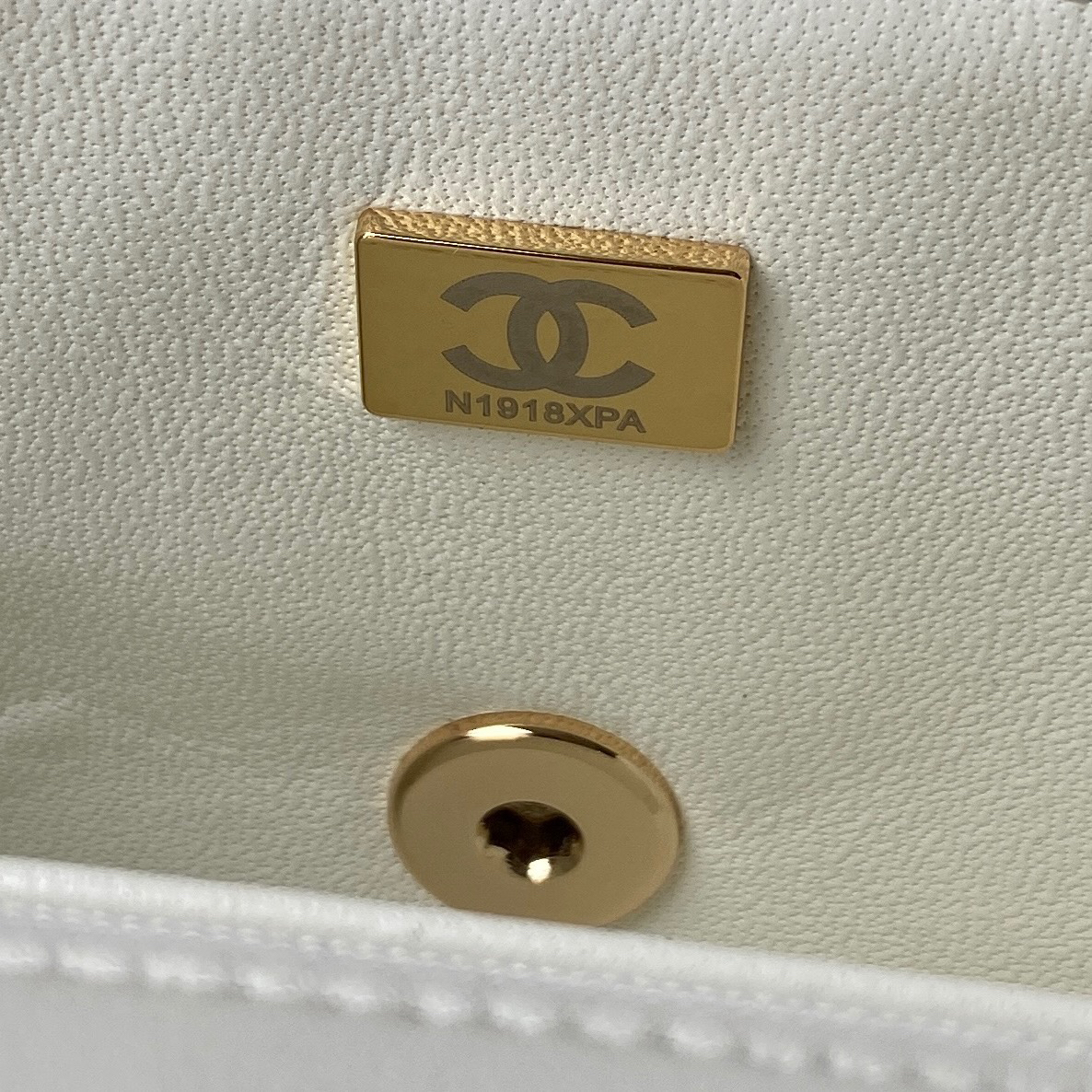 Chanel bag-100