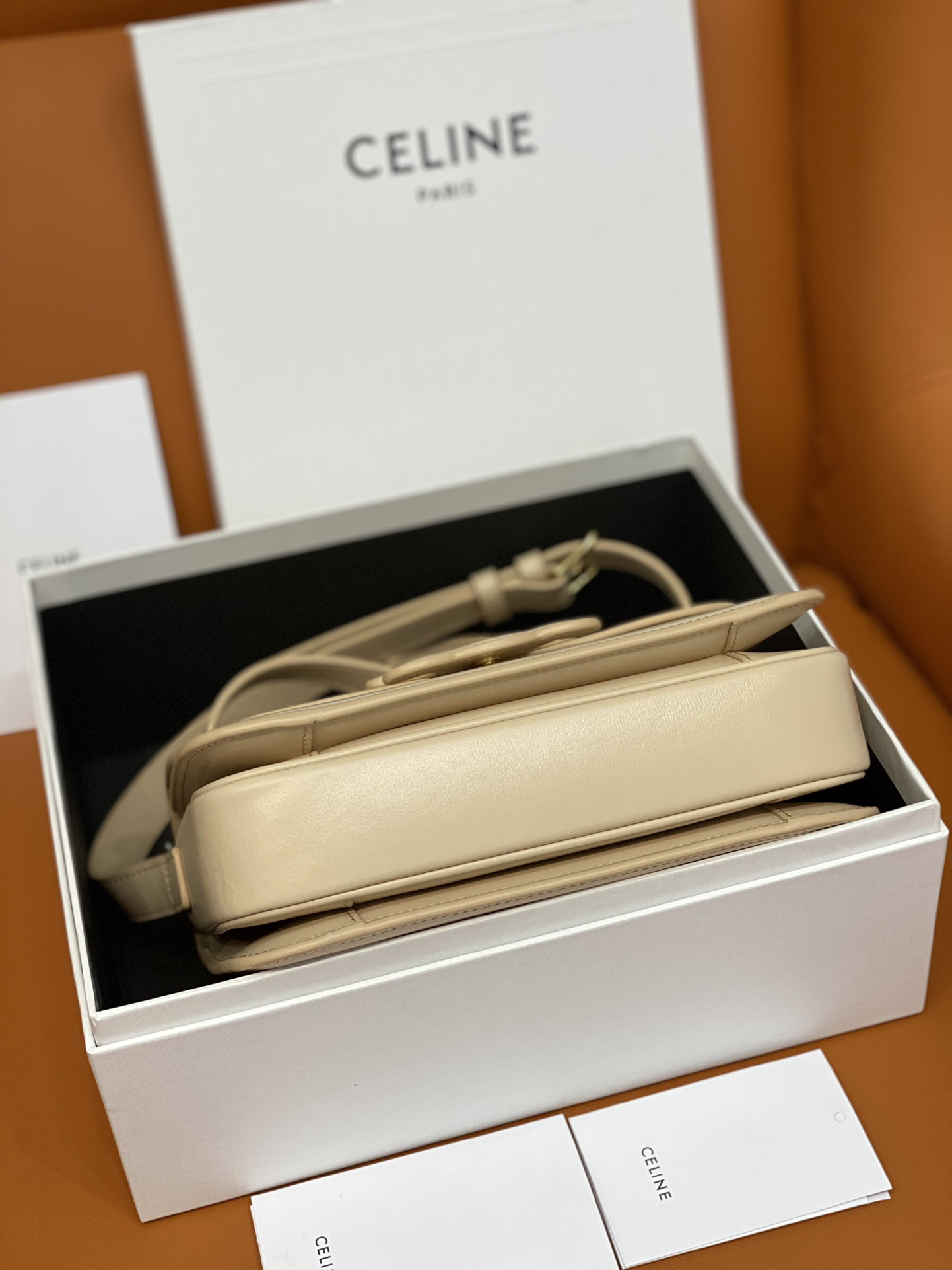 Celine bag-111