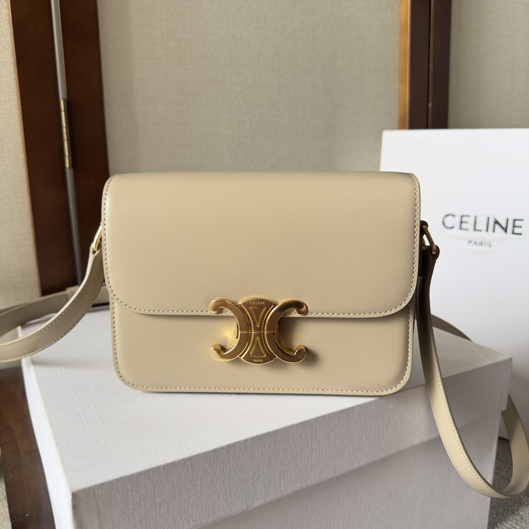 Celine bag-76