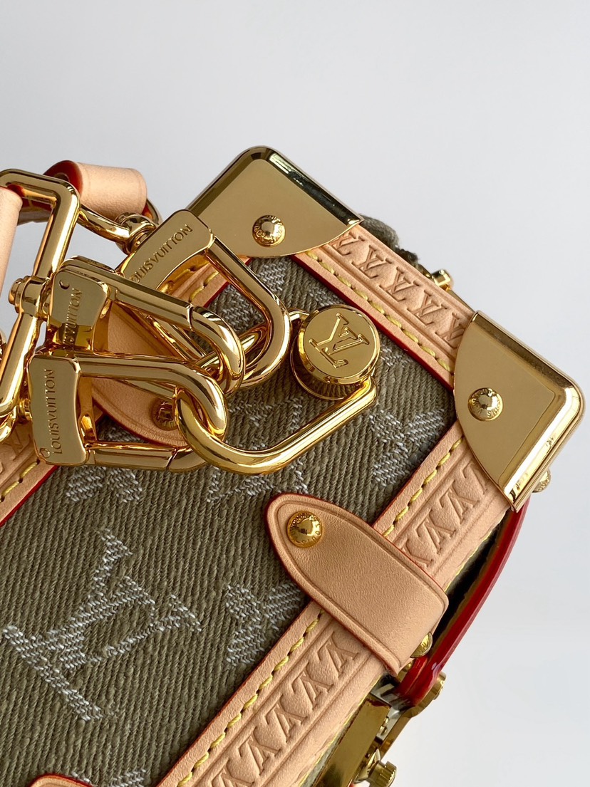 Louis Vuitton Hot New Product-219