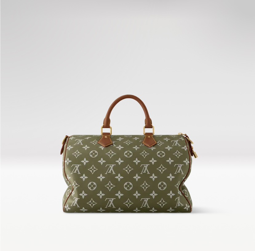 Louis Vuitton bag-32