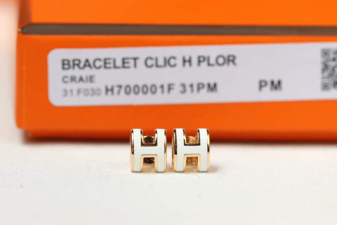 Hermes earrings-66