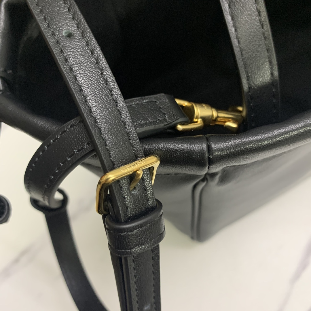 Celine bag-117
