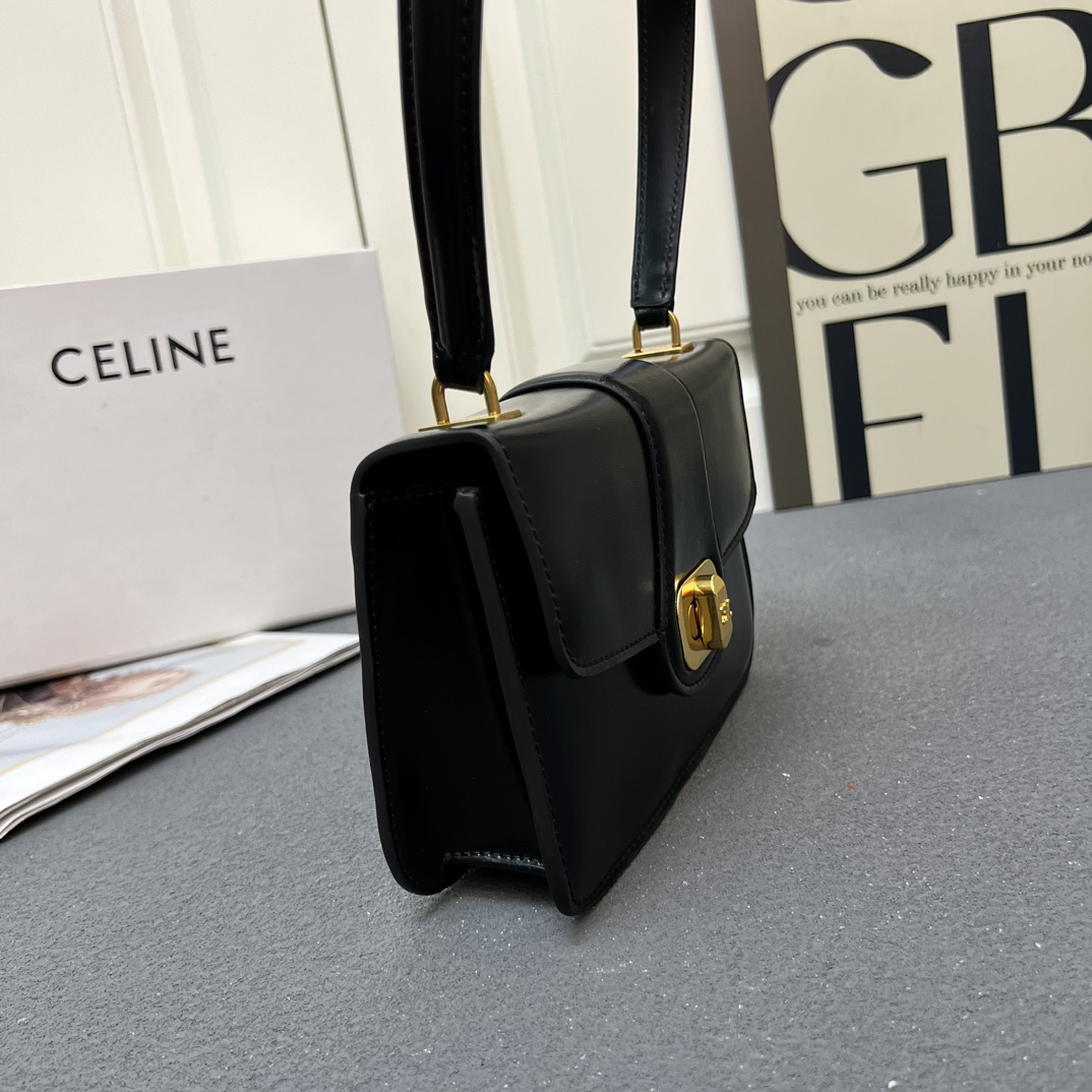 Celine bag-130