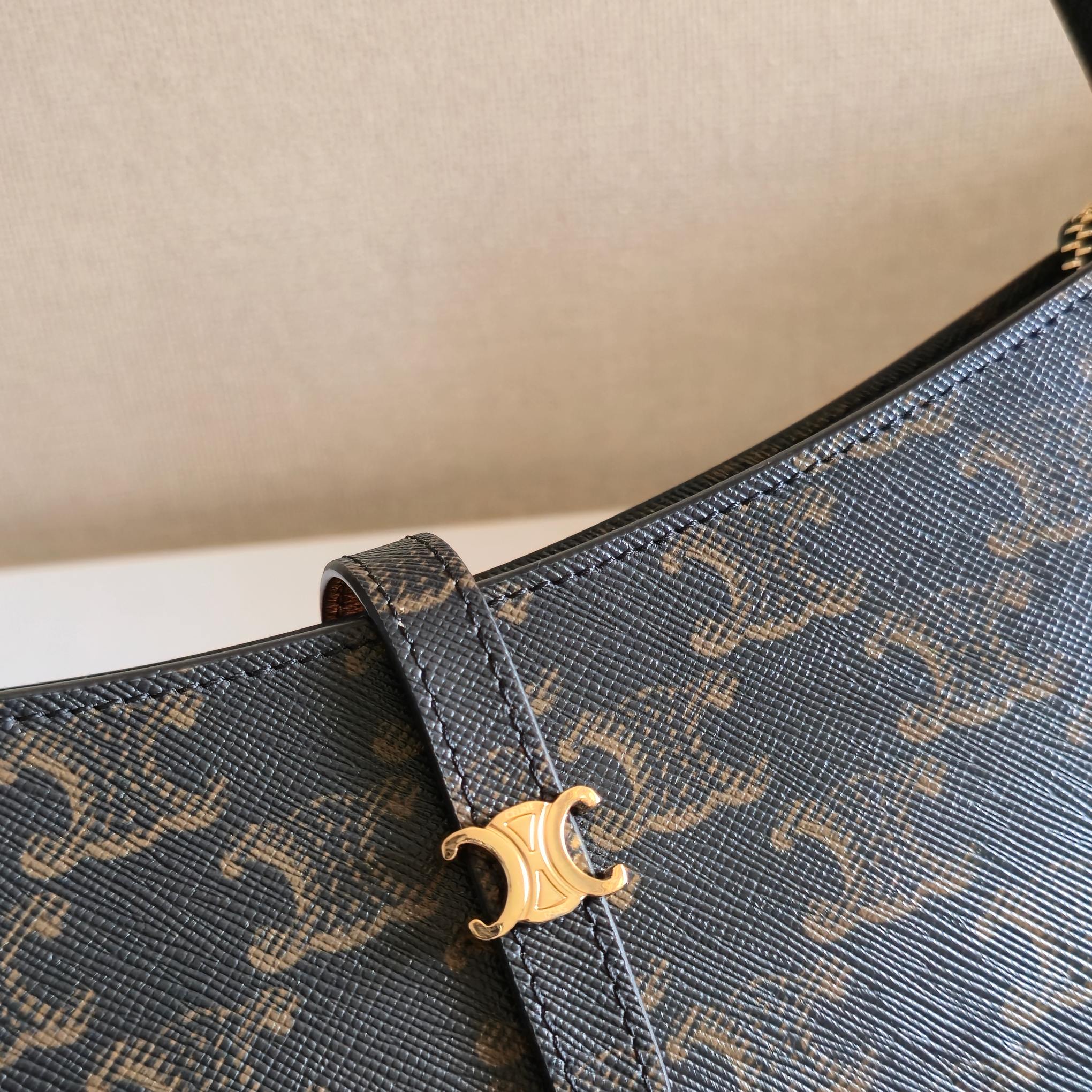 Celine bag-1