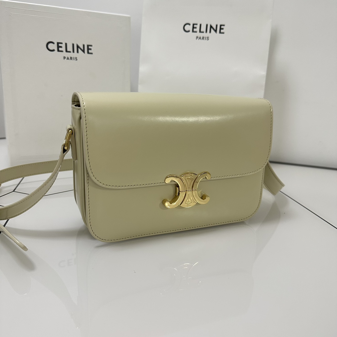 Celine bag-109