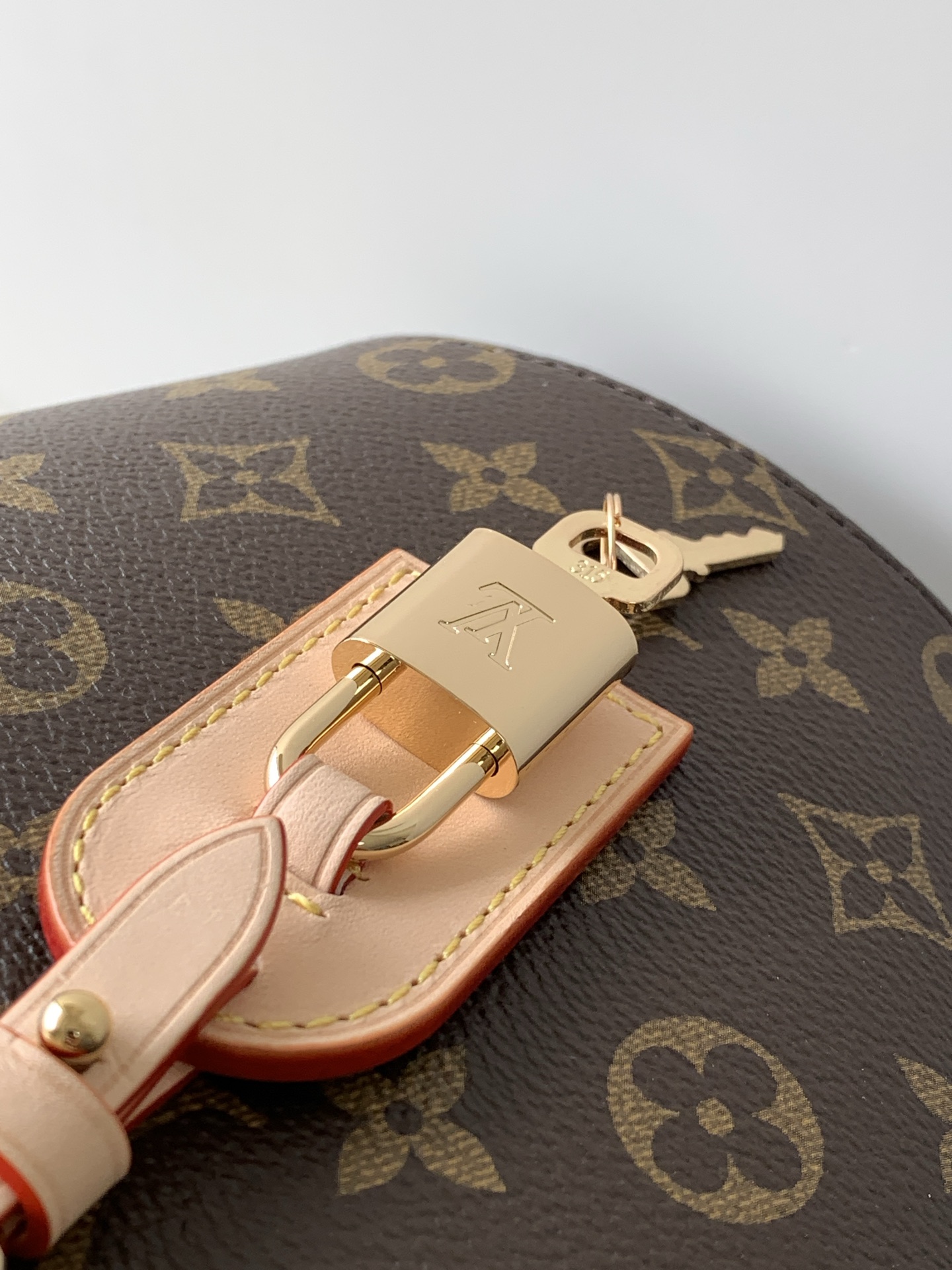 Louis Vuitton bag-209